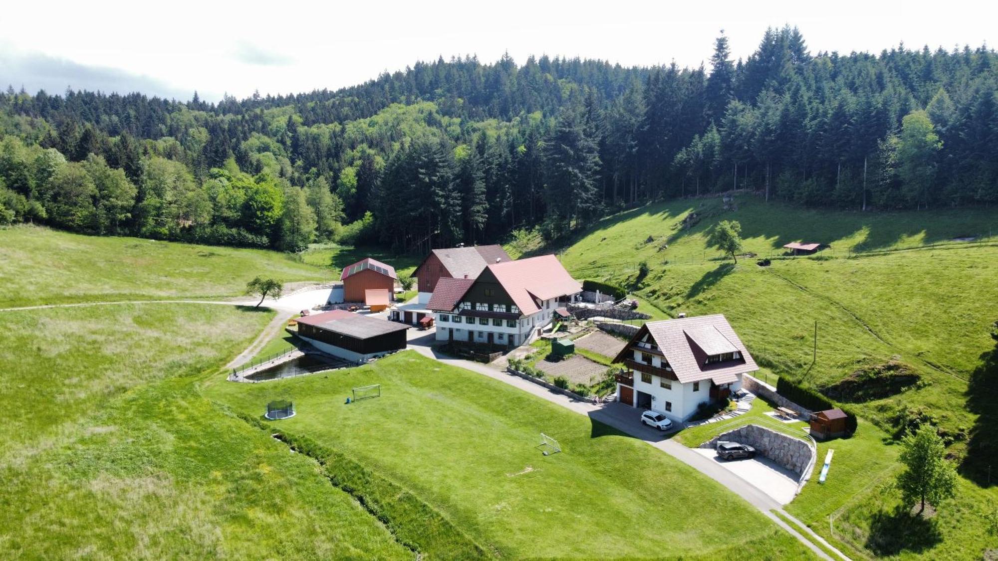Ferienhof Benz 카펠로덱 외부 사진